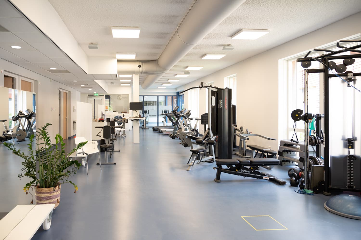 Looptherapie in de praktijk